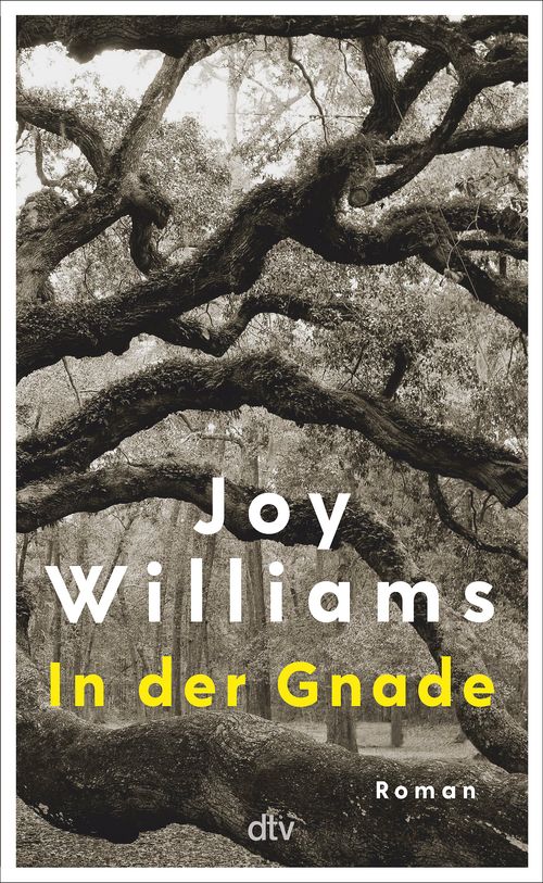 In Der Gnade Von Joy Williams E Book Dtv Verlag